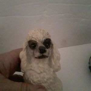 Vintage white Poodle with black around eyes and pa